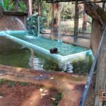 Zoológico de São Carlos-SP PraTurista