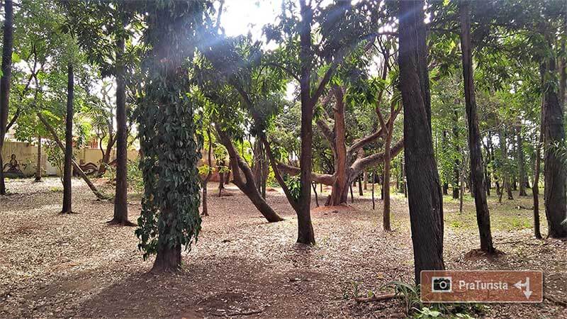 Praça Delmas Penteado Machado - São Carlos-SP PraTurista