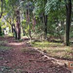 Praça Delmas Penteado Machado - São Carlos-SP PraTurista