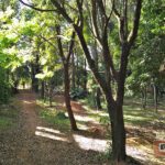 Praça Delmas Penteado Machado - São Carlos-SP PraTurista