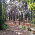 Praça Delmas Penteado Machado - São Carlos-SP PraTurista