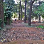 Praça Delmas Penteado Machado - São Carlos-SP PraTurista