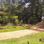 Horto Florestal de São Carlos-SP PraTurista