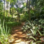 Horto Florestal de São Carlos-SP PraTurista