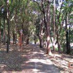 Parque do Bicão - São Carlos-SP PraTurista