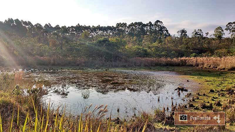 Cerrado da UFSCar - São Carlos-SP PraTurista