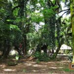 Parque Vicentina Aranha - São José dos Campos-SP PraTurista